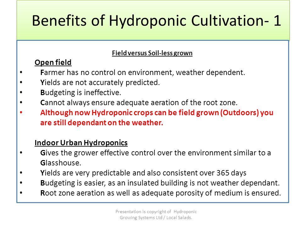 Hydroponics: Advantages of Producing Crops Through Use of Hydroponics